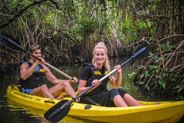 Mangrove Kayaking